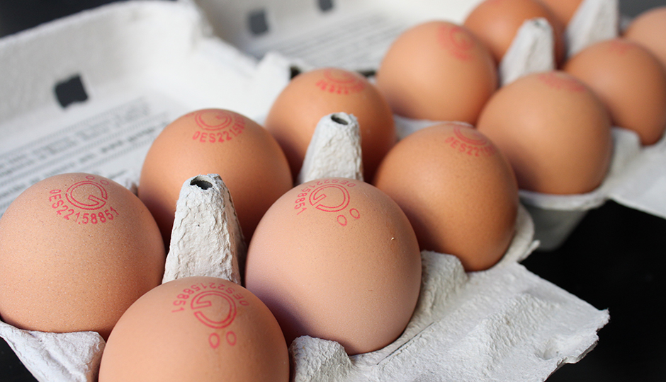 Caja de huevos ecológicos